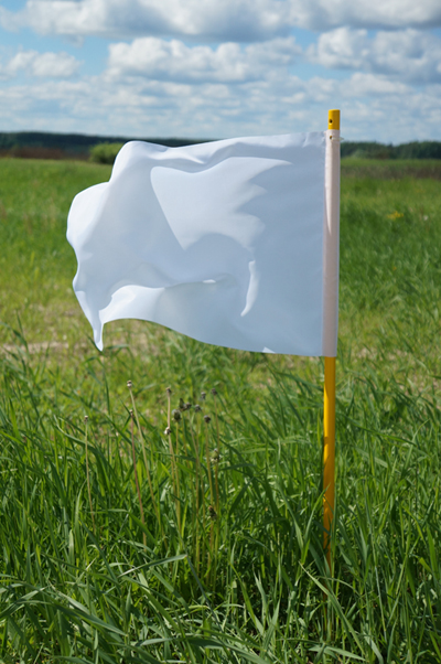 Runway and Taxiway Flag